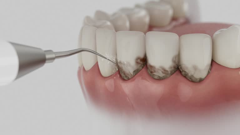 Reliable Dental contractor in Ligonier, IN by Dentist Open Now